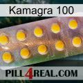 Kamagra 100 new11